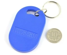 Oem 13.56MHz/125MHz RFID/NFC raktų pakabukas - 10 vnt.