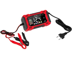 58-688# Prostownik automatinis 12v/6a lifepo4 blow