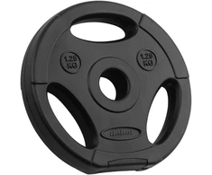 Bituminių svarelių rinkinys 4x1.25kg, skylė 31mm, plokštė su rankenomis, REBEL ACTIVE