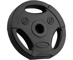 Bituminių svarelių rinkinys 4x2.5kg, skylė 31mm, plokštė su rankenomis, REBEL ACTIVE