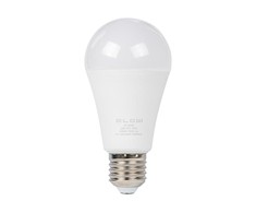 Blow LED lemputė E27 15W A60 230V