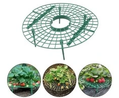 Grąžtas Oem Braškių stovas 30 cm - Sodo atrama - atrama vynmedžiams