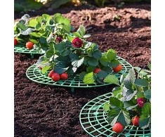 Grąžtas Oem Braškių stovas 30 cm - Sodo atrama - atrama vynmedžiams