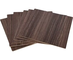 Creality Falcon serijos riešutmedžio faneros lakštai 300x300x3mm - 10vnt