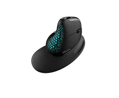 Belaidė ergonominė pelė Delux M618XSD BT+2.4G RGB