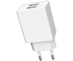 Ładowarka Oem Dvigubas USB 2100 mA tinklo įkroviklis