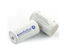 EverActive Professional Line baterija R20 / D Ni-MH 10000mAh - 2 vnt.
