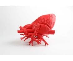 Fiberlogy 3D plastikas FiberFlex 30D 1.75mm 0.85kg – Baltas