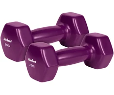>>>ŠEŠIAKAMPIAI ketaus vinilo hanteliai 2 x 2.5kg, REBEL ACTIVE