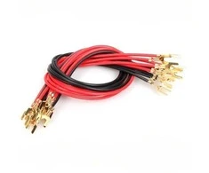 Oem Jungiamasis kabelis 20cm - 2x jungtys - paprastoms elektros grandinėms tiesti