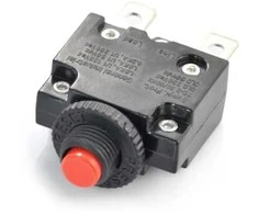 Oem Jungiklis su Reset 250V10A