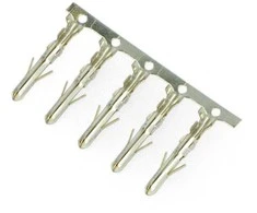 Oem Kaištis dėklui 5.08mm rastro 5 vnt