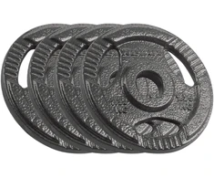Ketaus svarelių rinkinys 4x1.25kg, skylė 31mm, plokštė su rankenomis, REBEL ACTIVE