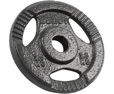 Ketaus svarelių rinkinys 4x2.5kg, skylė 31mm, plokštė su rankenomis, REBEL ACTIVE