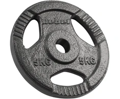 Ketaus svarelių rinkinys 4x5kg, skylė 31mm, plokštė su rankenomis, REBEL ACTIVE