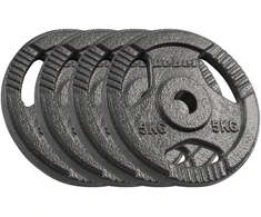 Ketaus svarelių rinkinys 4x5kg, skylė 31mm, plokštė su rankenomis, REBEL ACTIVE