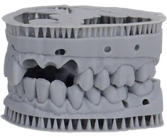 Liqcreate dantų modelis Pro Pilkas