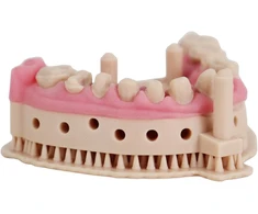 Liqcreate dantų modelis Pro rusvai gelsvas