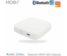 Moes Išmanių namų Bluetooth - Wi-Fi signalo stotelė, BRIDGE, MESH, TUYA / Smart Life