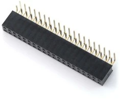 Oem Karpomas lizdas 2x20 kaiščių 2.54mm skirtas Raspberry Pi - kampinis