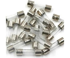 Oem Stiklinis saugiklis - 1A - vamzdinis - saugiklis - 10 vnt