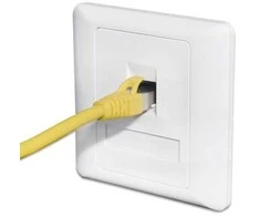 Oem Telefono arba interneto lizdo dangtelis - 1 iškyša - lizdo dangtelis
