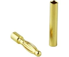 The World Models GOLD kištukai - 2mm - pora -