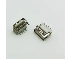 Oem USB lizdas AF10.0 trumpas korpusas 2 kontaktai DIP - 10 vnt - THT