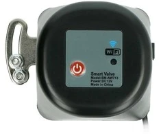 Vandens / dujų rutulinio vožtuvo pavara WiFi Tuya RTX WVW