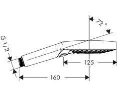 Dušo galvutė Hansgrohe Raindance Select S 120, 26530000