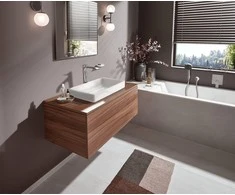 Praustuvo maišytuvas Hansgrohe Vivenis 75042000