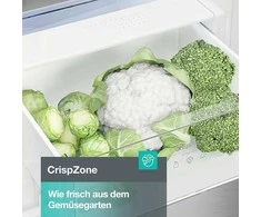 Šaldytuvas Gorenje RK4182PS4