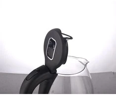 Virdulys Guzzanti GZ-200