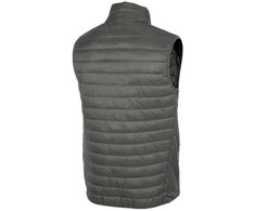 4F liemenė