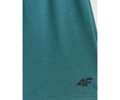 4F šortai