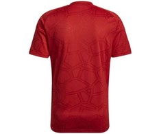 Adidas marškinėliai