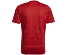 Adidas marškinėliai