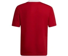 Adidas marškinėliai