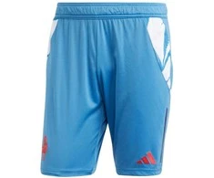 Adidas šortai