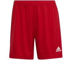 Adidas šortai