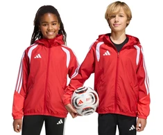 Adidas striukė
