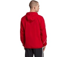 Adidas striukė
