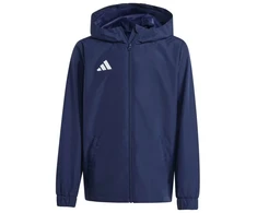 Adidas striukė