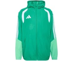 Adidas striukė