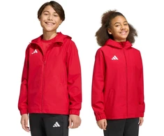 Adidas striukė