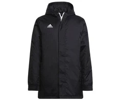 Adidas striukė