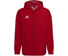 Adidas striukė