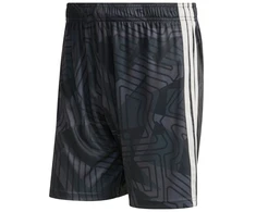 Adidas teamwear šortai