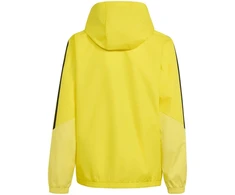 Adidas teamwear striukė