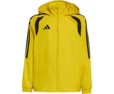 Adidas teamwear striukė